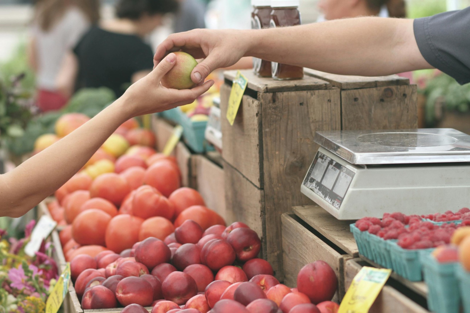 Five Ways Your Local Purchases Make a Difference